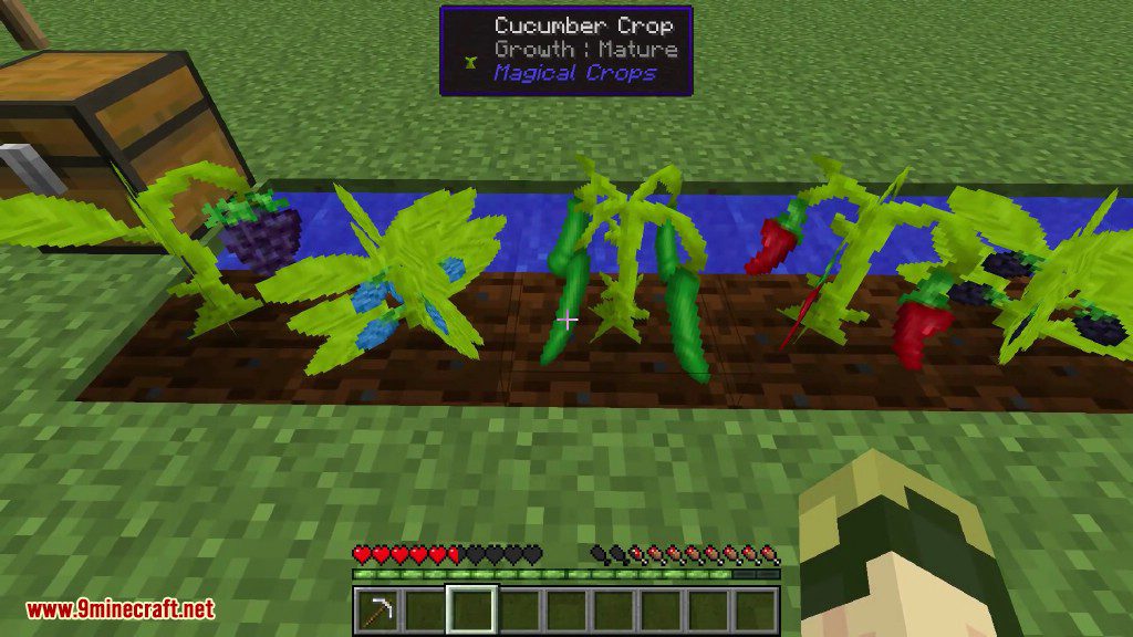 Magical Crops Mod (1.12.2, 1.7.10) - Grow Your Diamonds and More 6