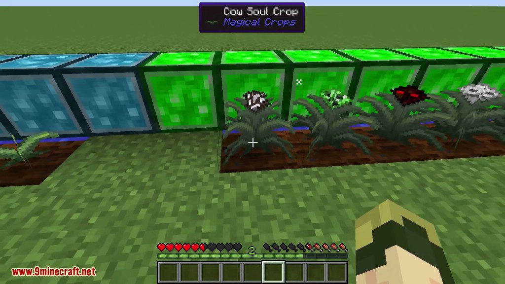 Magical Crops Mod (1.12.2, 1.7.10) - Grow Your Diamonds and More 16