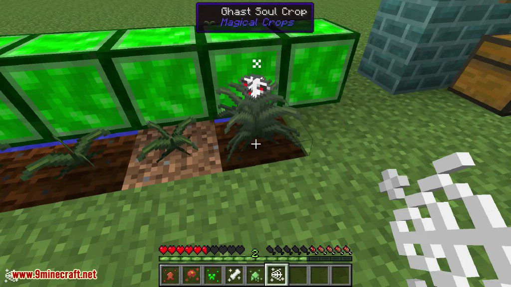 Magical Crops Mod (1.12.2, 1.7.10) - Grow Your Diamonds and More 18