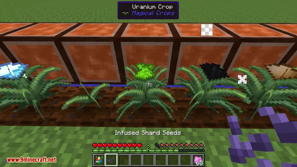 Magical Crops Mod (1.12.2, 1.7.10) - Grow Your Diamonds and More 23