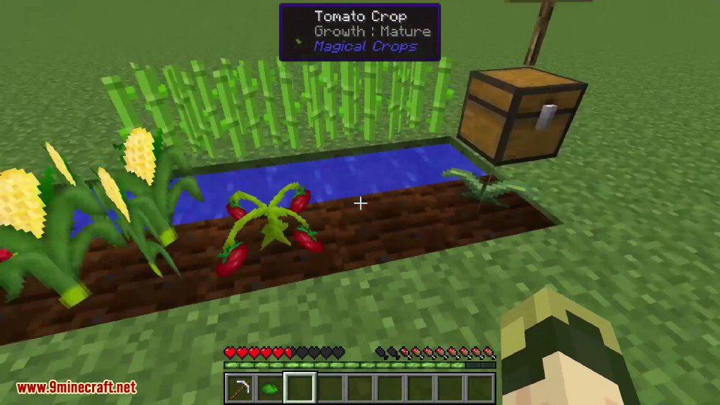 Magical Crops Mod (1.12.2, 1.7.10) - Grow Your Diamonds and More 7