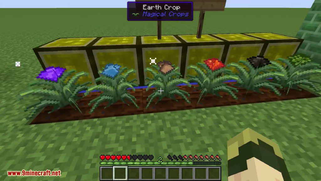 Magical Crops Mod (1.12.2, 1.7.10) - Grow Your Diamonds and More 11