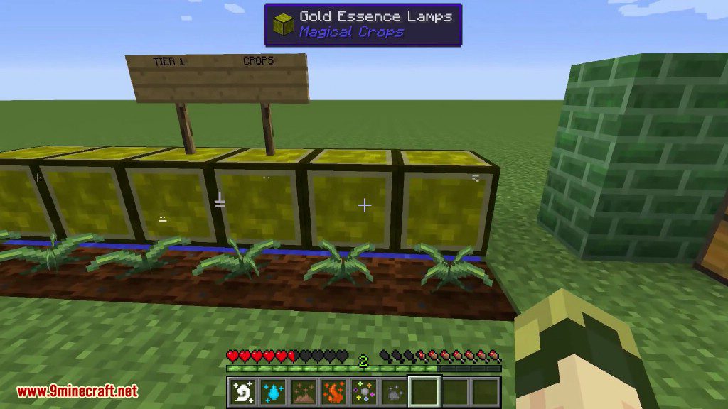 Magical Crops Mod (1.12.2, 1.7.10) - Grow Your Diamonds and More 12