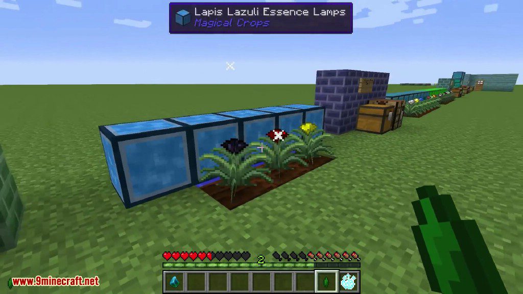 Magical Crops Mod (1.12.2, 1.7.10) - Grow Your Diamonds and More 13