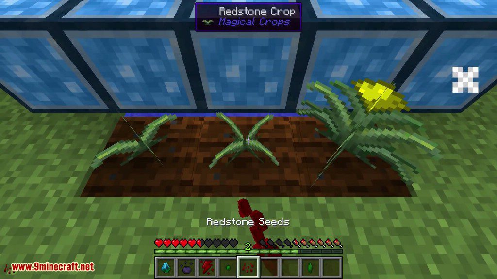 Magical Crops Mod (1.12.2, 1.7.10) - Grow Your Diamonds and More 14