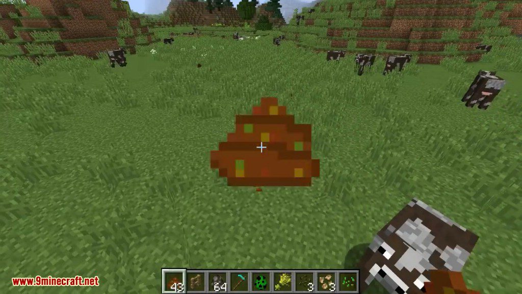 Seeds Hidden in Things Mod 1.12.2 (Throwable Poop) 11