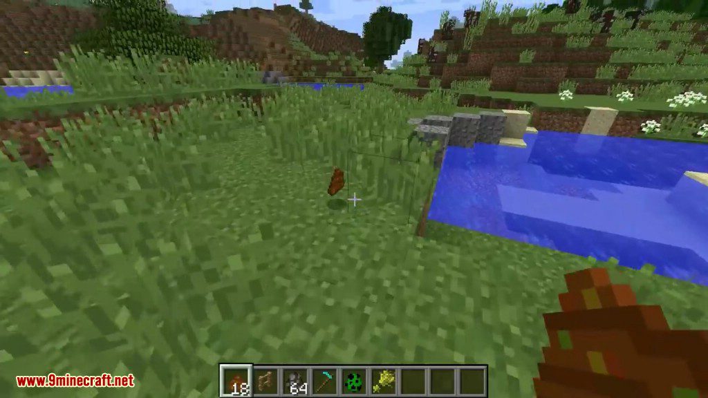 Seeds Hidden in Things Mod 1.12.2 (Throwable Poop) 4