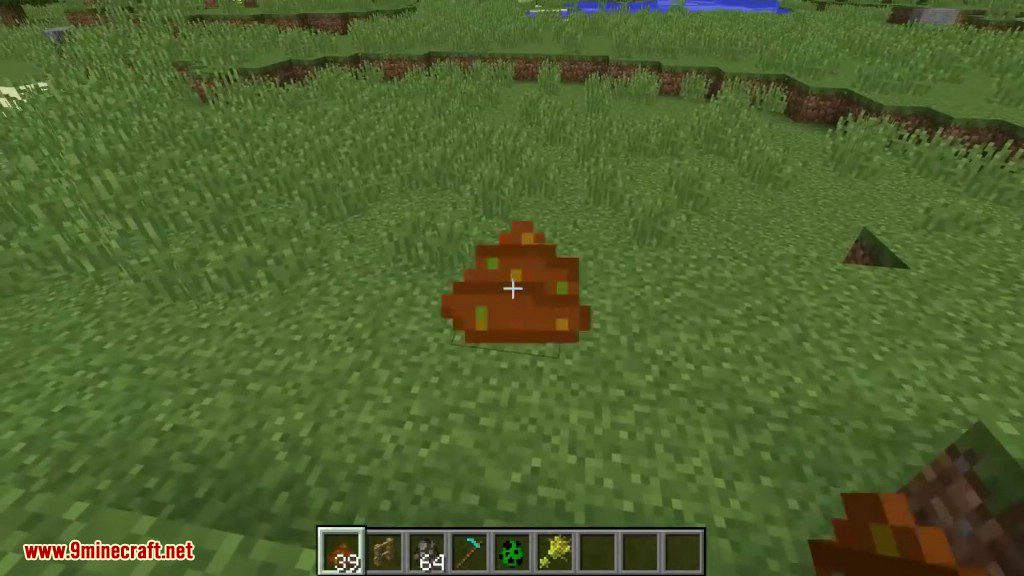 Seeds Hidden in Things Mod 1.12.2 (Throwable Poop) 8