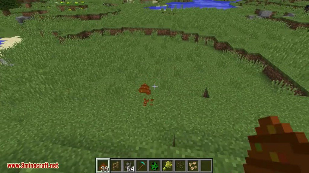 Seeds Hidden in Things Mod 1.12.2 (Throwable Poop) 9