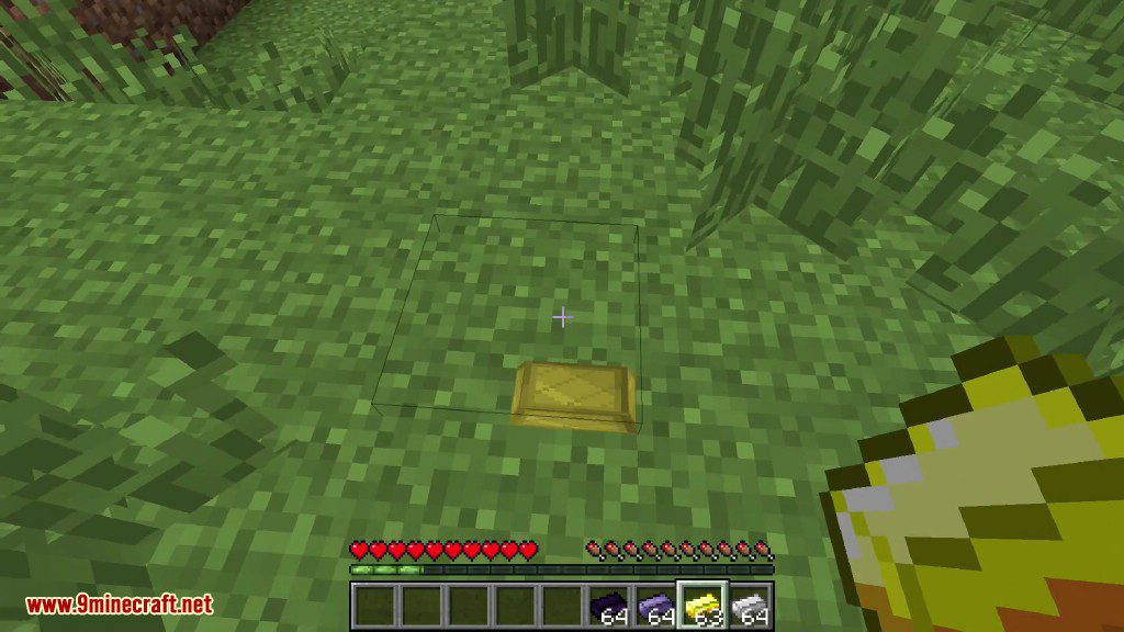 StacksOnStacks Mod 1.10.2, 1.7.10 (Put Items on the Ground as a Block) 2