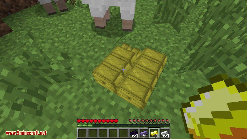 StacksOnStacks Mod 1.10.2, 1.7.10 (Put Items on the Ground as a Block) 3