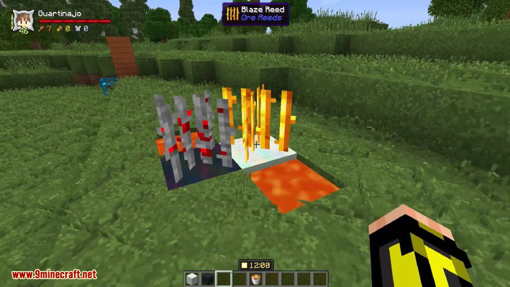 Ore Reeds Mod 1.16.5, 1.15.2 (A Different Way to get Minerals) 6