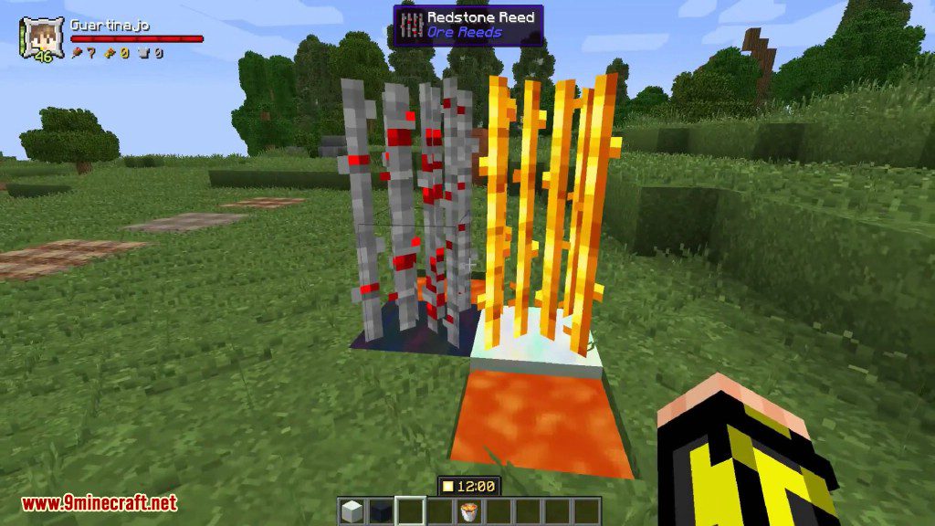 Ore Reeds Mod 1.16.5, 1.15.2 (A Different Way to get Minerals) 10