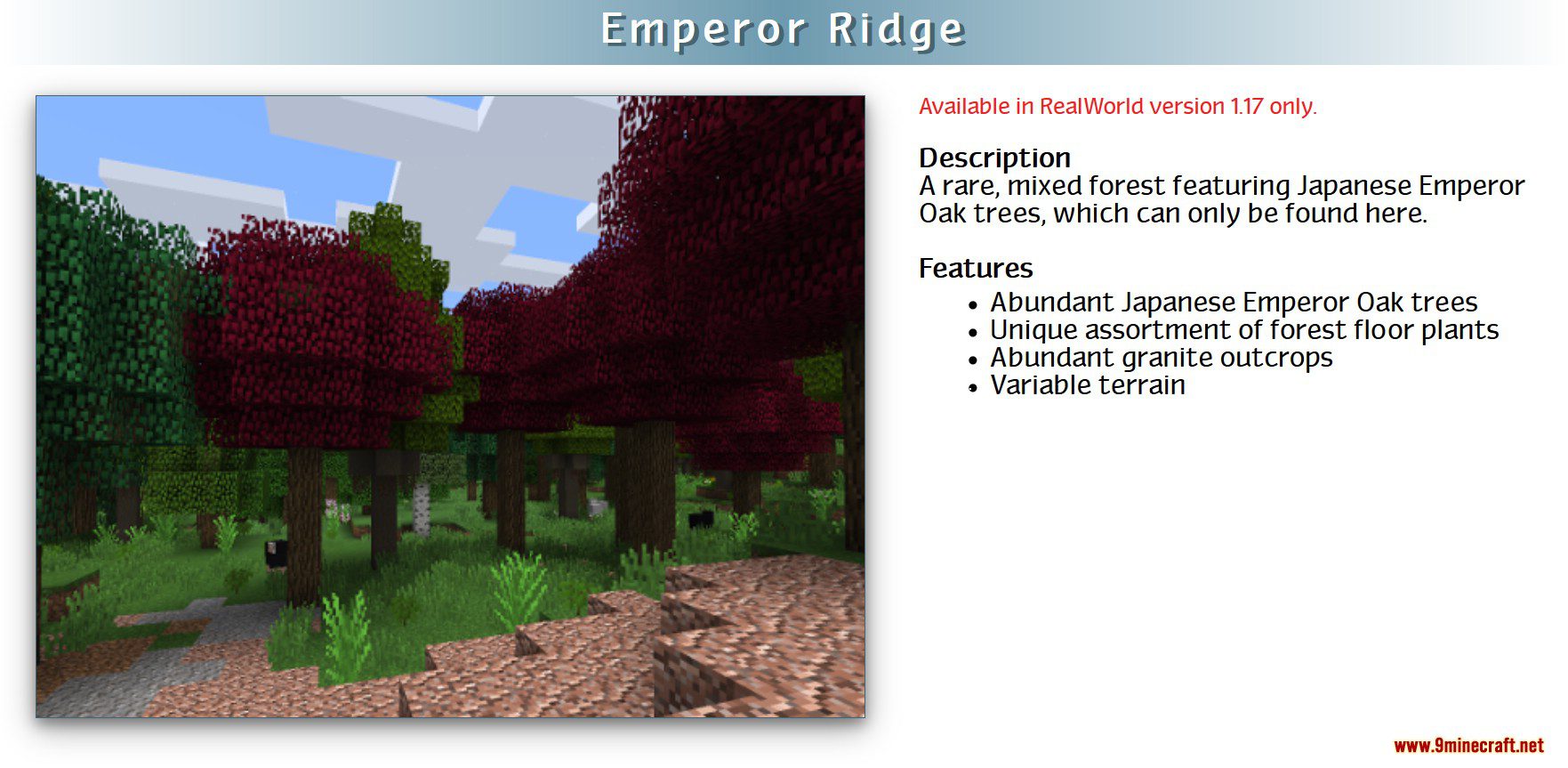 RealWorld Mod 1.12.2, 1.11.2 (Realistic Features to Minecraft) 7