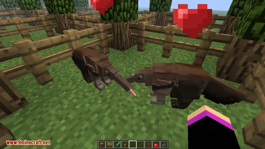 Zoocraft Discoveries Mod 1.12.2, 1.7.10 (Zoocrafting Series) 13