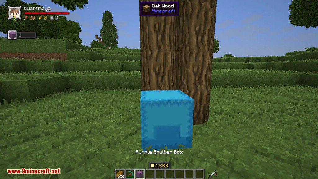 Bauble Shulker Boxes Mod 1.12.2 (Turn Your Shulker Box as a Backpack) 8