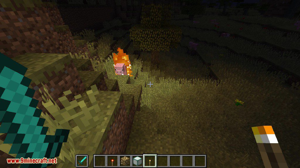 Moving Light Sources Mod 1.12.2 (Torches Can Be Used As Weapons) 12