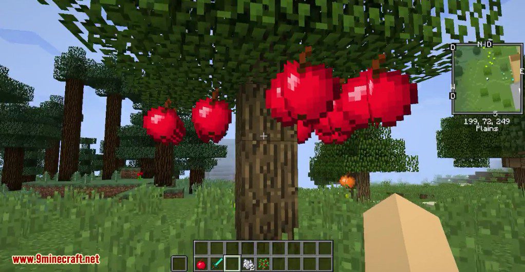 Apple Trees Mod 1.11.2, 1.10.2 (A Plant that can be Harvested to get Apples) 11