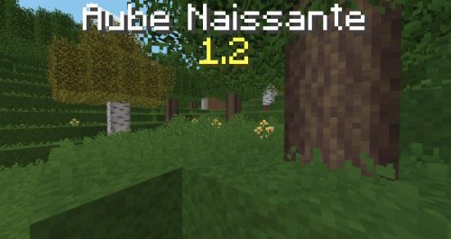 Aube Naissante Resource Pack 1.12.2, 1.11.2 Thumbnail