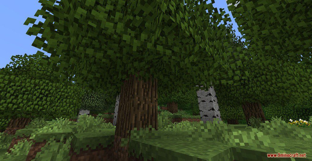 Better Nature Resource Pack (1.21, 1.20.1) - Texture Pack 4