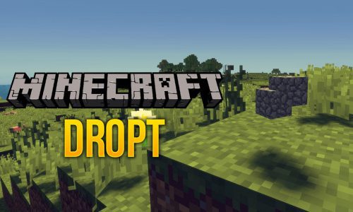 Dropt Mod 1.12.2 (A Block Drop Replacement Modification) Thumbnail