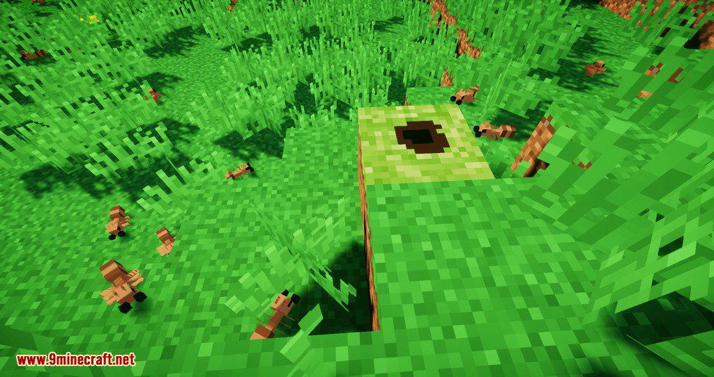 Ant Mod 1.12.2 (Ants Everywhere) 8