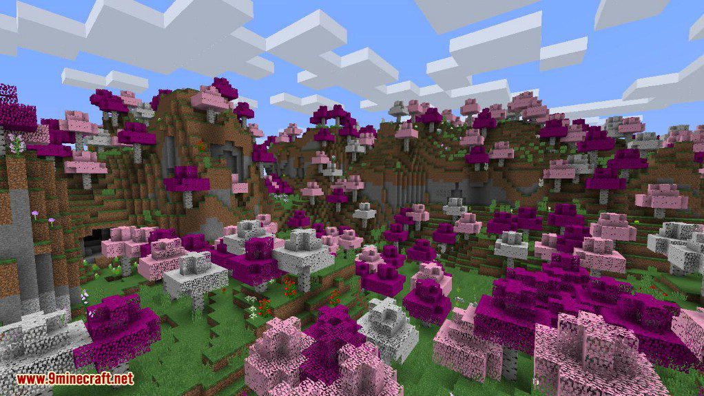 Novam Terram Mod 1.12.2 (Biomes & Stuff) 11