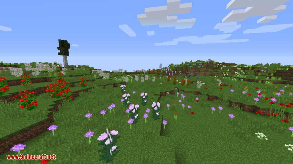 Novam Terram Mod 1.12.2 (Biomes & Stuff) 40