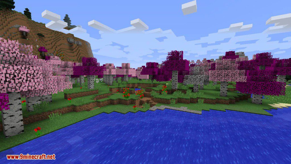 Novam Terram Mod 1.12.2 (Biomes & Stuff) 10