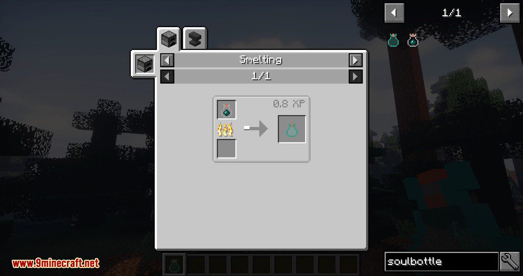 Soul Bottle Mod 1.12.2 (Carry Pets, Creatures In Bottle) 5