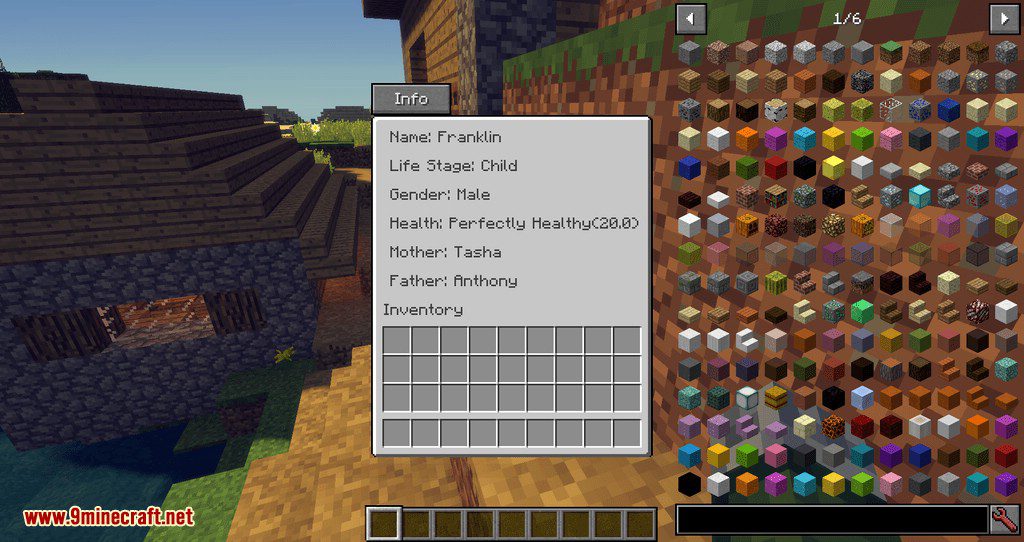 Improved Villagers Mod 1.12.2, 1.11.2 (Now You Can Rob a Villager) 5
