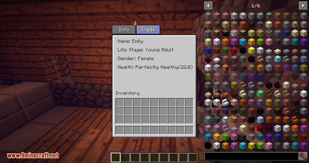 Improved Villagers Mod 1.12.2, 1.11.2 (Now You Can Rob a Villager) 7