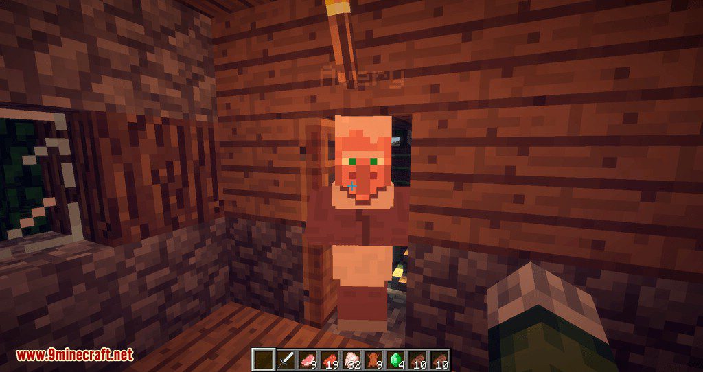 Improved Villagers Mod 1.12.2, 1.11.2 (Now You Can Rob a Villager) 9