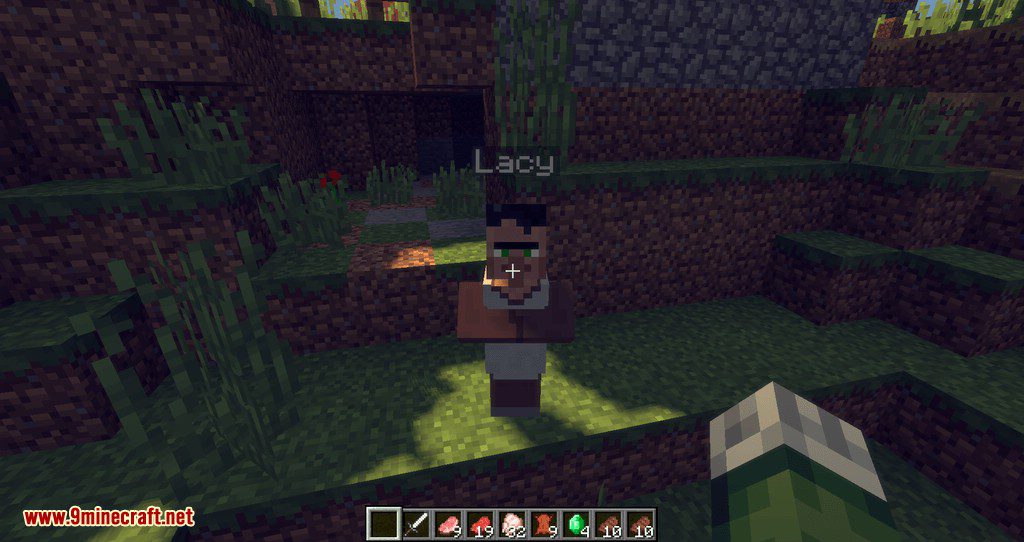 Improved Villagers Mod 1.12.2, 1.11.2 (Now You Can Rob a Villager) 10
