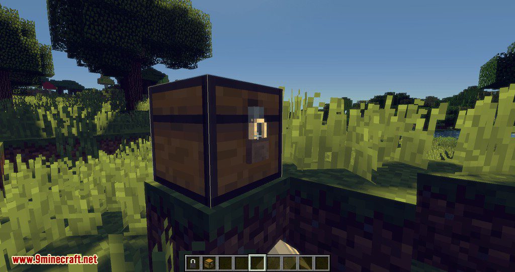 Locks Mod (1.16.5, 1.15.2) - Flexible and Unique Locks 14