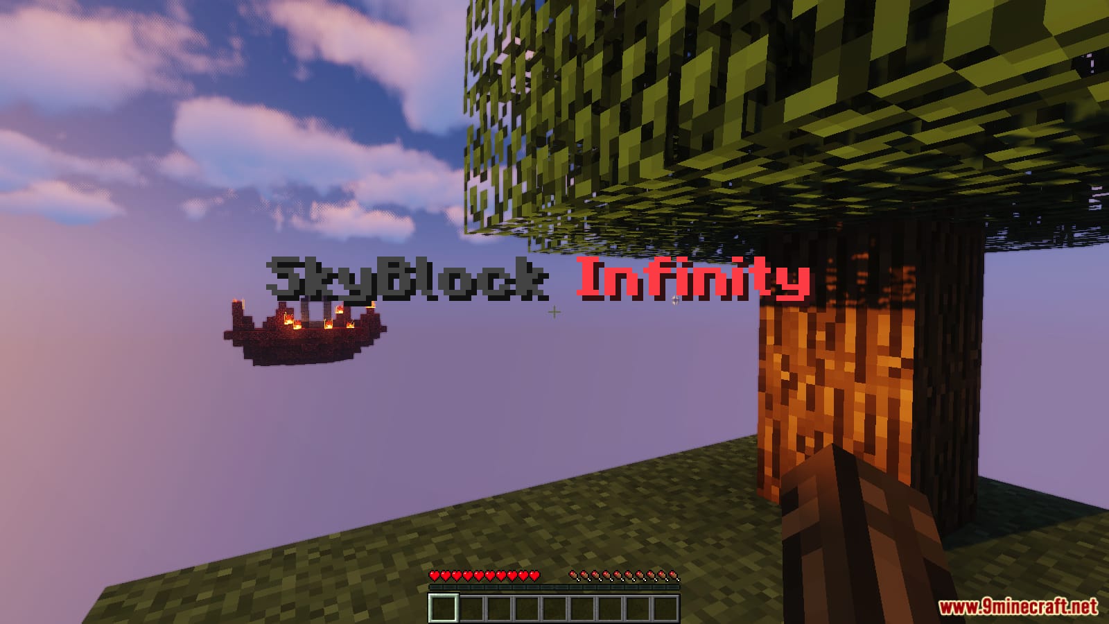 SkyBlock Infinity Map 1.13.2 for Minecraft 6