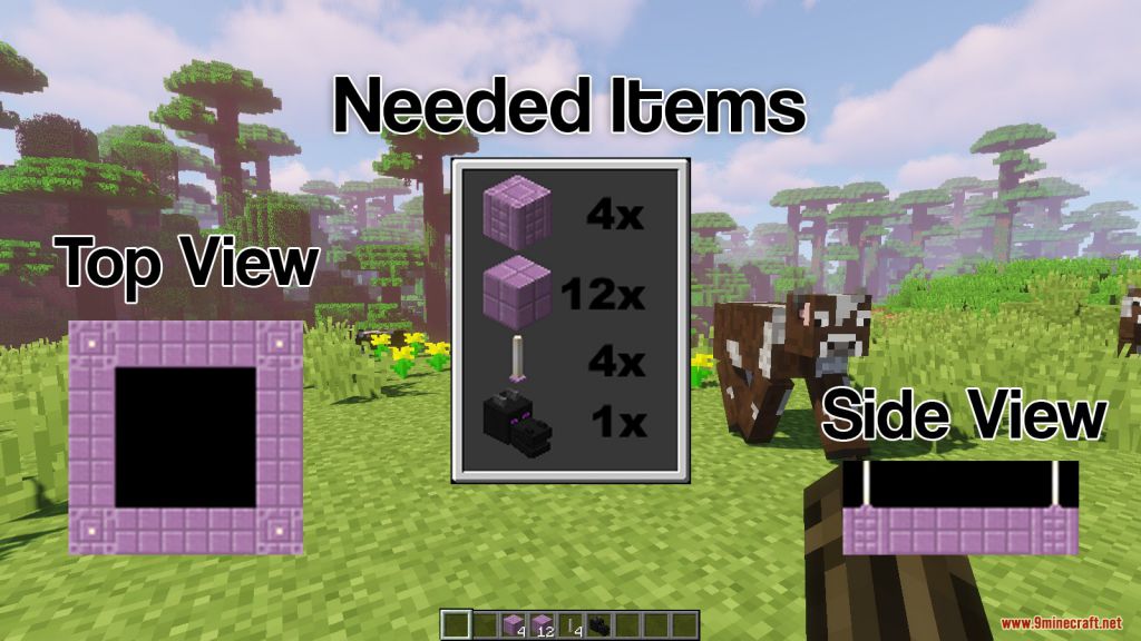 Endereal Portal Data Pack 1.13.2 (A New Way to Create End Portal) 2