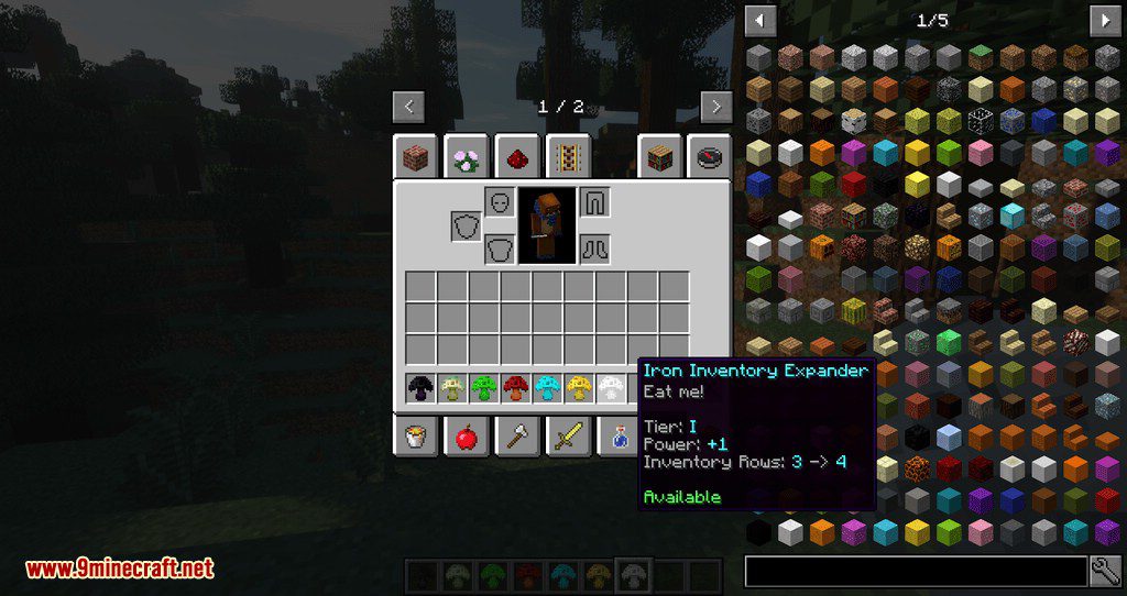 Expandable Inventory Mod 1.12.2 (One of Best Inventory Mods) 9