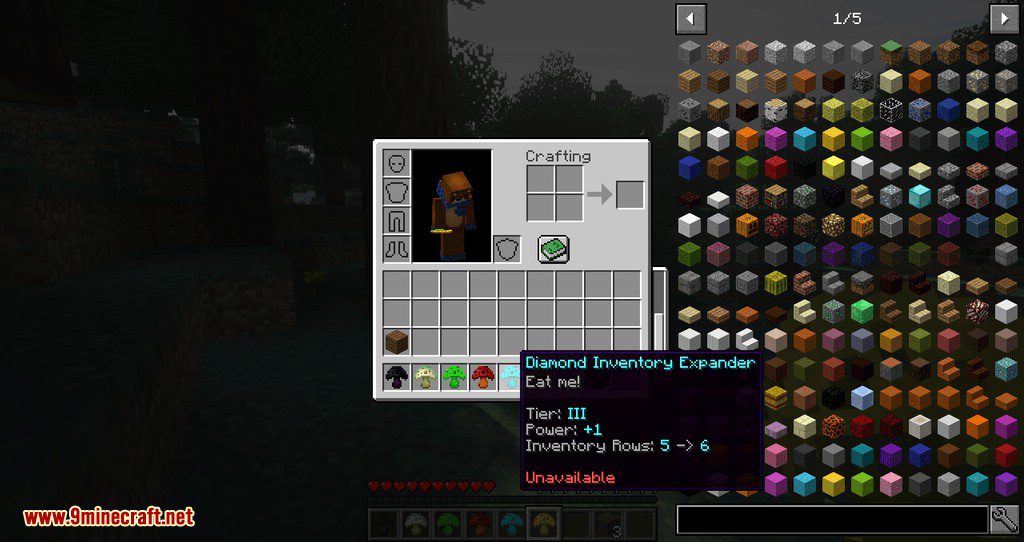 Expandable Inventory Mod 1.12.2 (One of Best Inventory Mods) 12