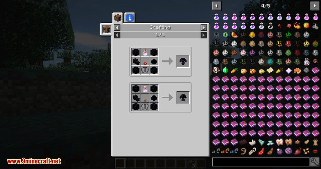 Expandable Inventory Mod 1.12.2 (One of Best Inventory Mods) 16