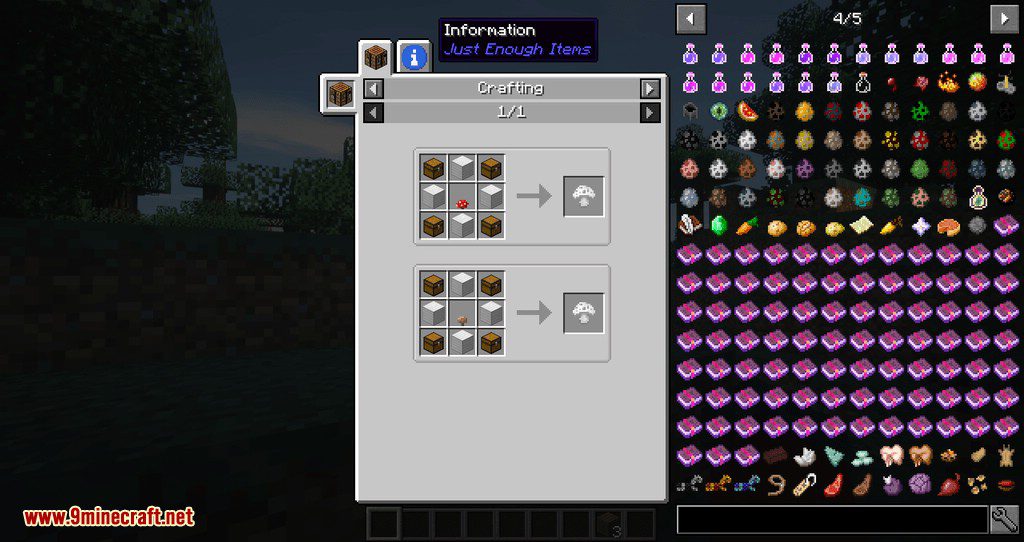 Expandable Inventory Mod 1.12.2 (One of Best Inventory Mods) 17