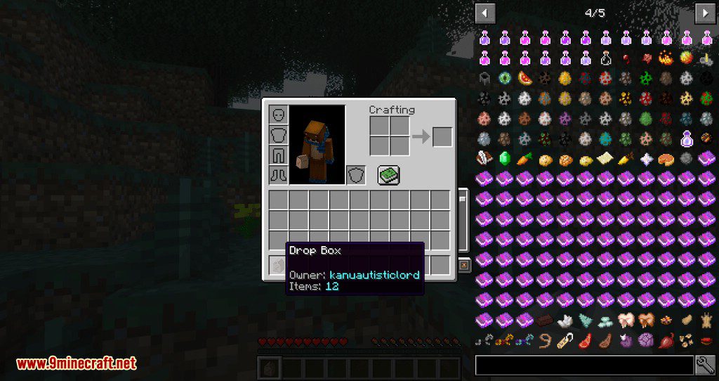 Expandable Inventory Mod 1.12.2 (One of Best Inventory Mods) 19