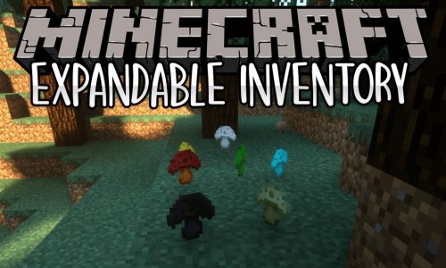 Expandable Inventory Mod 1.12.2 (One of Best Inventory Mods) Thumbnail