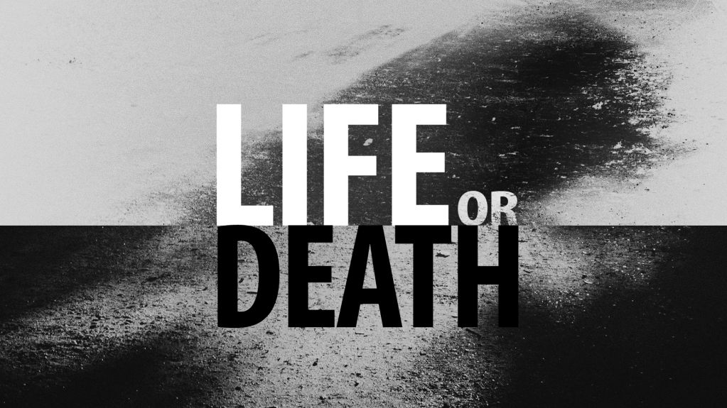 Life or Death Map 1.13.2 for Minecraft 1