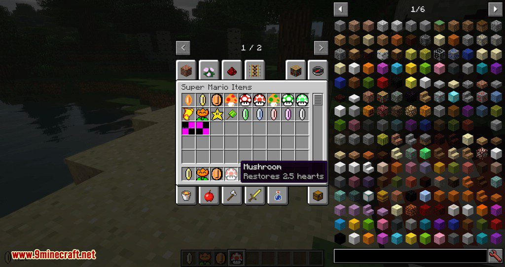 Mario Mod 2 1.12.2, 1.11.2 (Super Mario in Minecraft) 16