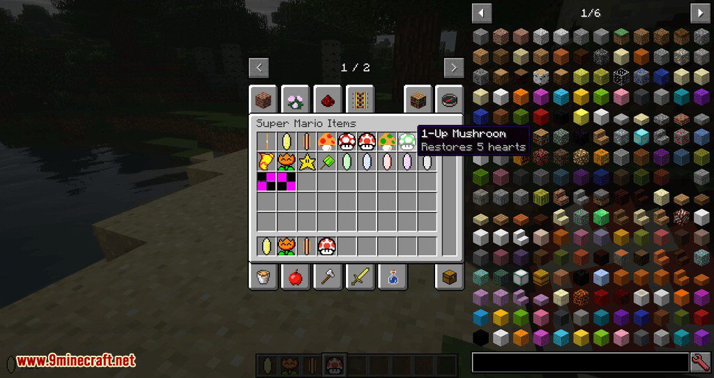 Mario Mod 2 1.12.2, 1.11.2 (Super Mario in Minecraft) 17