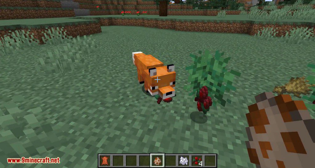 Minecraft 1.14 Snapshot 19w07a (New Foxes are Here) 11