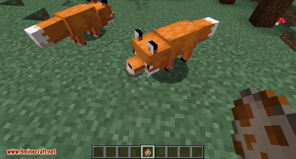 Minecraft 1.14 Snapshot 19w07a (New Foxes are Here) 4