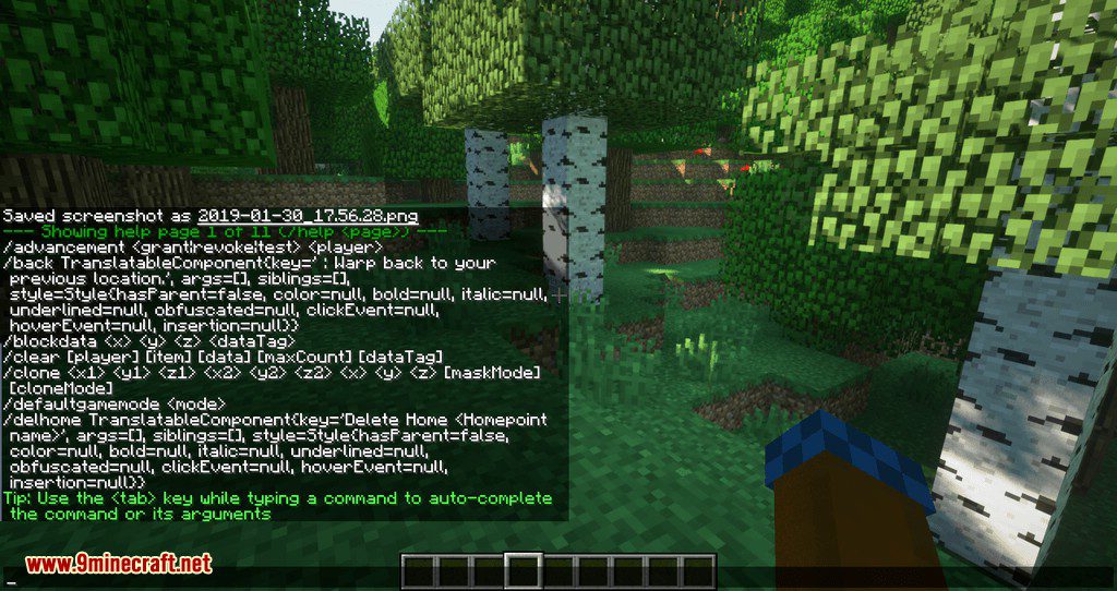 Mycommands Mod (1.16.5, 1.15.2) - Helpful Server Commands 2