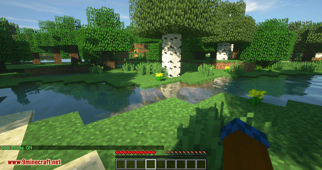 Mycommands Mod (1.16.5, 1.15.2) - Helpful Server Commands 4